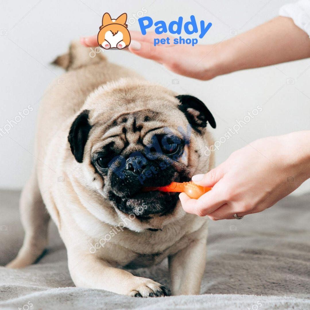 Đồ Chơi Cho Chó Xương Cá Cao Su TPET Nhai Gặm Sạch Răng - Paddy Pet Shop