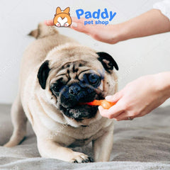 Đồ Chơi Cho Chó Xương Cá Cao Su TPET Nhai Gặm Sạch Răng - Paddy Pet Shop